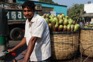 eggplant trader