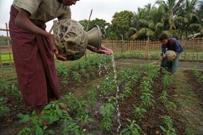 Raw deal for small and marginal farmers