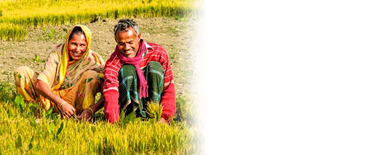 Adding Value to Agriculture Extension