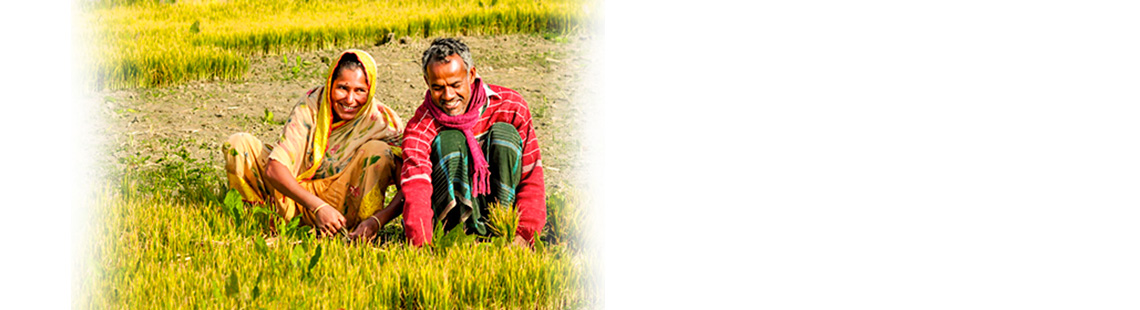 Adding Value to Agriculture Extension