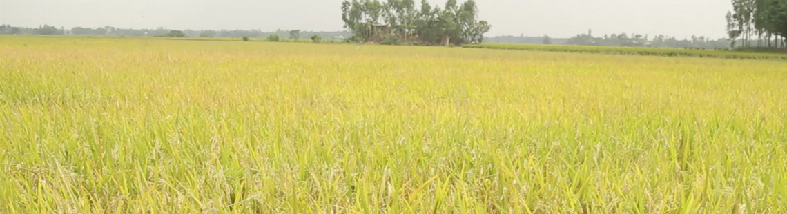 Seminar on Food Systems and Nutrition Addresses 21st Century Challenges