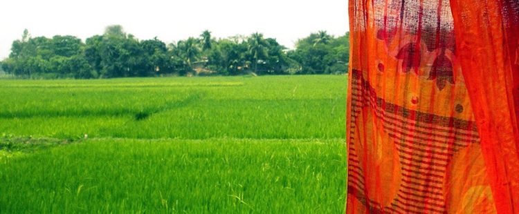 New Program’s Early Results Show Potential to Improve Food Security