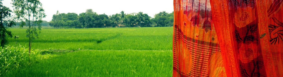 New Program’s Early Results Show Potential to Improve Food Security