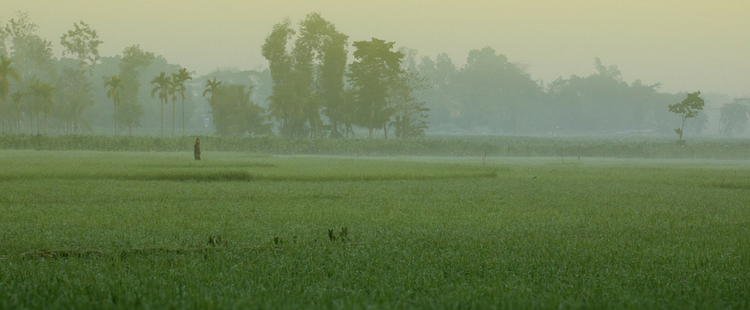 Launch of “Food Systems for Healthier Diets” in Bangladesh