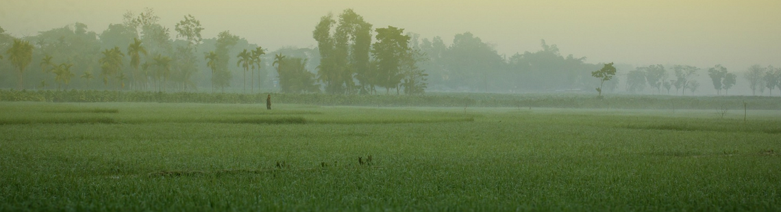 Launch of “Food Systems for Healthier Diets” in Bangladesh