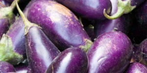 Discussion Paper: Impacts of Bt Brinjal (Eggplant) in Bangladesh