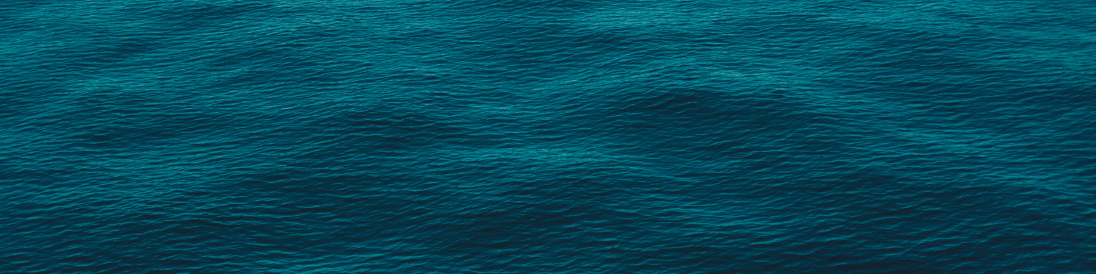 Blog –  Resilience and COVID-19: Insights into fish and shrimp value chains in Bangladesh