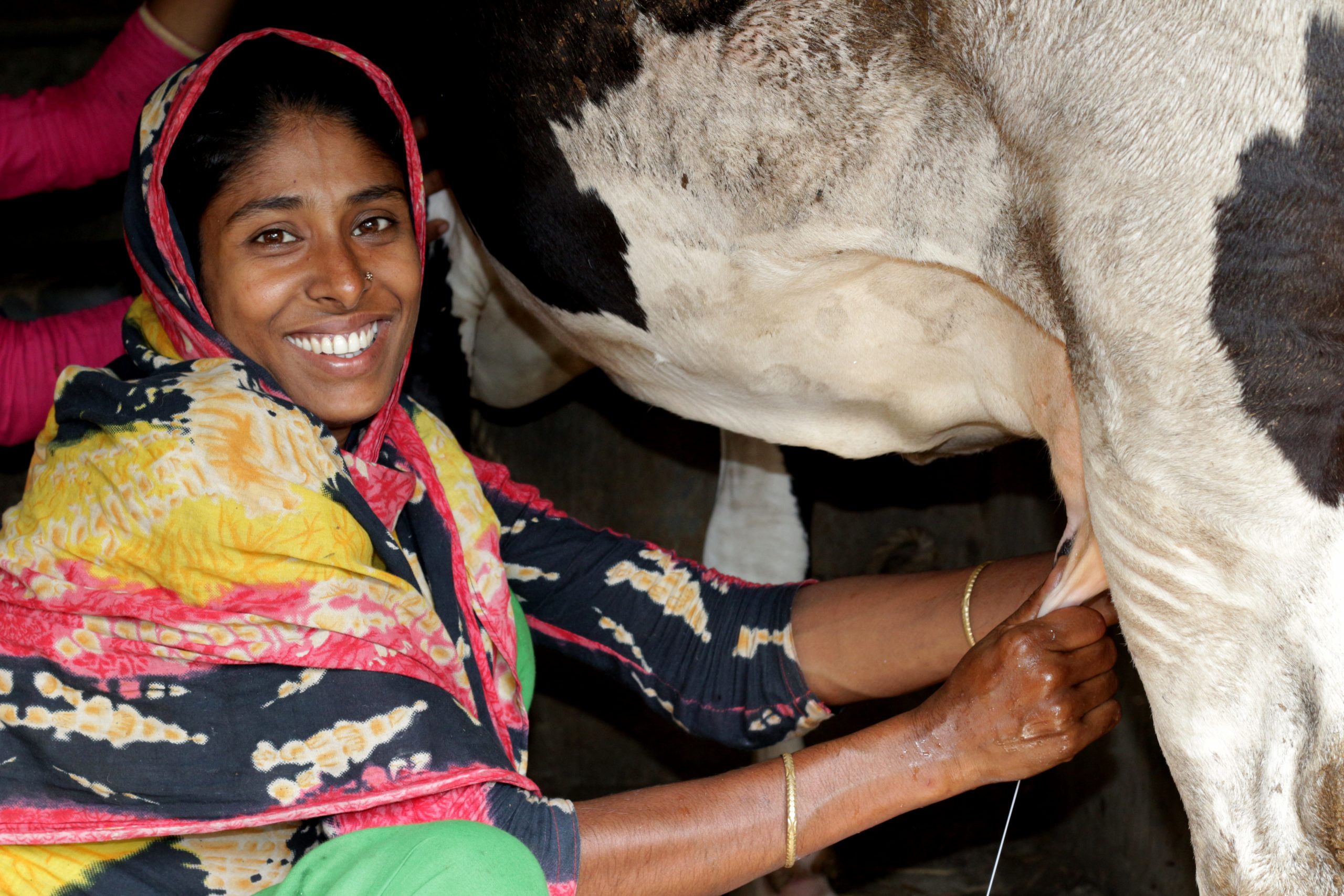 Publication – Household dairy production, dairy intake, and anthropometric outcomes in rural Bangladesh