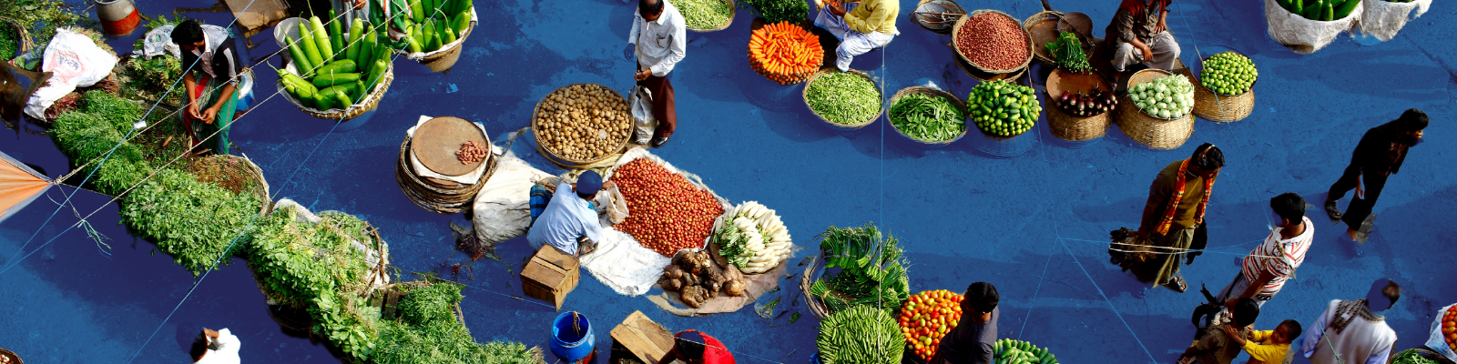 Blog – Insights from TAFSSA’s Agrifood Systems Assessment in Bangladesh